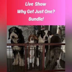 Do Not ♥️ this listing. Live Show Unlisted Item. As shown during live show.